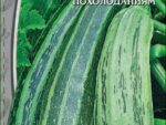 Кабачок цуккини Зебра 1 гр цв.п 10 шт/уп ВХ