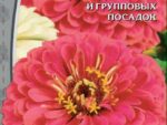 Цинния георгиноцветковая Монарх 0,5 гр 10 шт/уп ВХ