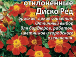 Бархатцы отклоненные ДИСКО РЕД 10 шт 10 шт/уп ВХ