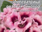 Глоксиния Императрица розовая биколор цв/п 5 шт 10 шт/уп