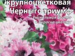 Петуния Черныго Триумф крупноцветковая 10 шт 10 шт/уп ВХ