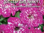Петуния многоцветковая Дот Стар Дип Пинк F1 10 шт 10 шт/уп ВХ