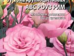 Эустома крупноцветковая АВС Роуз Рим 5 шт 10 шт/уп ВХ
