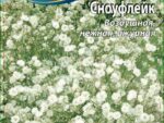 Гипсофила метельчатая Сноуфлейк 0,1 гр 10 шт/уп ВХ