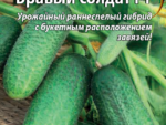 Огурец БРАВЫЙ СОЛДАТ F1 0,25 гр цв. пак 10 шт/уп ВХ