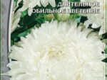 Астра пионовидная Королевский размер белая 0,2 гр ( однолетник ) 10 шт/уп ВХ