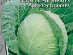 Капуста белокочанная Сибирячка 60  0,5 гр 10 шт/уп ВХ