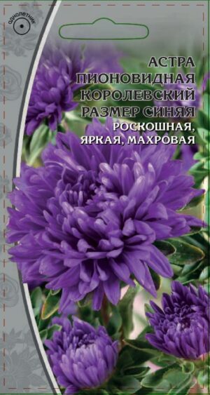 Астра пионовидная Королевский размер синяя 0,2 гр ( однолетник ) 10 шт/уп ВХ