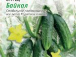 Огурец Байкал 0,25 гр цв. пак. 10 шт/уп ВХ