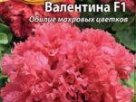Петуния махровая Валентина F1 10 шт 10 шт/уп ВХ