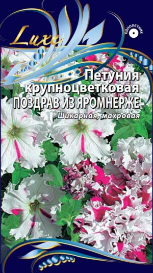 Петуния Поздравление из Яромнерже крупноцветковая 10 шт 10 шт/уп ВХ