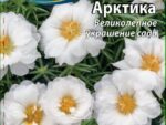 Портулак крупноцветковый махровый Арктика 0,2 гр 10 шт/уп ВХ