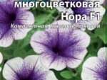 Петуния многоцветковая Нора F1 10 шт 10 шт/уп ВХ