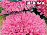 Астра Балун розовая 0,1 гр ( однолетник ) 10 шт/уп