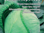 Капуста белокочанная Зимняя королева 0,3 гр цв. пак 10 шт/уп ВХ