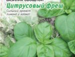 Базилик овощной Цитрусовый фреш 0,5 гр 10 шт/уп ВХ