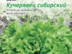 Салат Кучерявец сибирский 1 гр цв/п 10 шт/уп ВХ