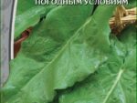 Щавель Широколистный 1 гр б/п 10 шт/уп ВХ