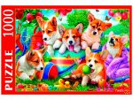 Пазл 1000 ЩЕНКИ КОРГИ В САДУ Ф1000-0757 упак32,3*22,9*4,4  932-183