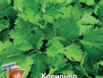 Кориандр овощной Бородинский 10 гр цв. пак 10 шт/уп ВХ