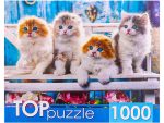 Пазл 1000 Котята скоттиш фолд ШТТП1000-4154 Размер картинки: 68,5 х 48,5 см 734-727